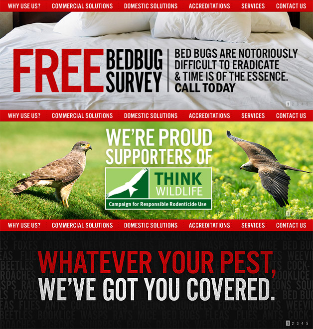 A screenshot of the Direct Pest Control banners